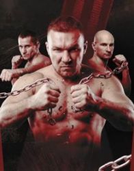 Международный Турнир по Смешанным Единоборствам "Мир во всем мире"