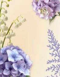 АЛЬФА-БАНК КУБОК СИЛЬНЕЙШИХ ПО ХУДОЖЕСТВЕННОЙ ГИМНАСТИКЕ. 3 ЭТАП.
